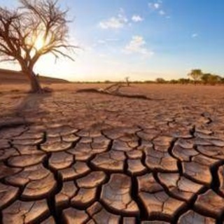 Temperature oltre la media, siccità ed eventi estremi: allarme clima in Europa