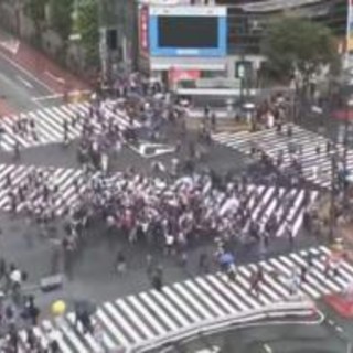 Mondiali, il Giappone pareggia con l'Olanda e a Tokyo si fa festa... al semaforo Mondiali, il Giappone pareggia con l'Olanda e a Tokyo si fa festa... al semaforo