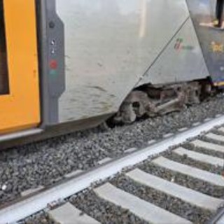 Roma, mucche su binari: treno deraglia vicino a stazione di Piana Bella a Montelibretti, nessun ferito