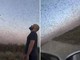 Invasione record di locuste, milioni di insetti oscurano il cielo. E il web grida alla 'piaga biblica'