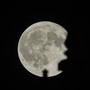 La Superluna, tre sciami di meteoriti e la parata dei pianeti: tutti gli eventi celesti di novembre 2026 La Superluna, tre sciami di meteoriti e la parata dei pianeti: tutti gli eventi celesti di novembre 2026