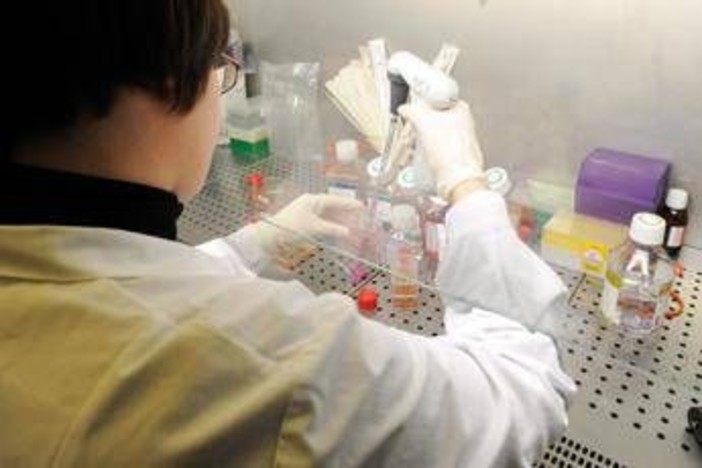 Esofagite eosinofila, risultati positivi per tezepelumab in fase 3