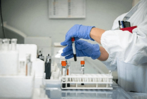 Hantavirus, 4 persone monitorate in Italia: "Non hanno sintomi"