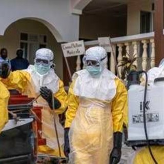 Ebola, il co-scopritore del virus: "Si diffonde a velocità mai vista" Ebola, il co-scopritore del virus: "Si diffonde a velocità mai vista"