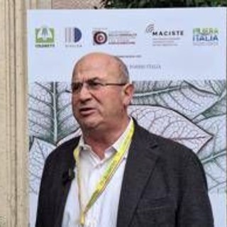 Tabacco, Trippella (Filiera tabacchicola italiana): "Rischio di arretrare con politiche europee" Tabacco, Trippella (Filiera tabacchicola italiana): "Rischio di arretrare con politiche europee"