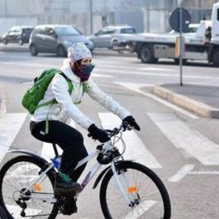 Smog e rischio Alzheimer, uno studio svela il legame Smog e rischio Alzheimer, uno studio svela il legame