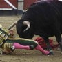 Il toro incorna e uccide il torero, lo choc in Spagna Il toro incorna e uccide il torero, lo choc in Spagna