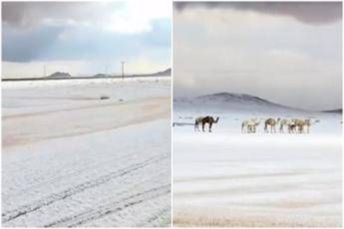 L'Arabia Saudita 'riscopre' la neve, primi fiocchi dopo 30 anni L'Arabia Saudita 'riscopre' la neve, primi fiocchi dopo 30 anni