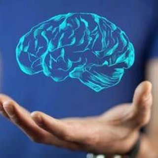 Il cervello cresce e invecchia, i 4 compleanni importanti per la mente: lo studio Il cervello cresce e invecchia, i 4 compleanni importanti per la mente: lo studio