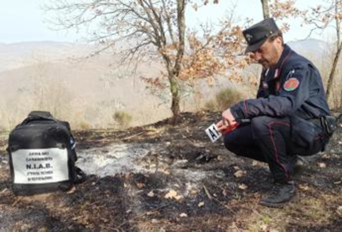 Incendi, Carabinieri Forestali: "98% causati dall'uomo, in primi 6 mesi 3800 ettari bruciati" Incendi, Carabinieri Forestali: "98% causati dall'uomo, in primi 6 mesi 3800 ettari bruciati"