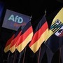 Elezioni in Sassonia, exit poll: Afd trionfa con 44,5% dei voti