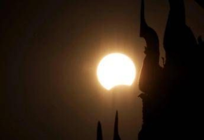 Eclissi, anche gli animali la vedranno: i consigli per non farli agitare Eclissi, anche gli animali la vedranno: i consigli per non farli agitare