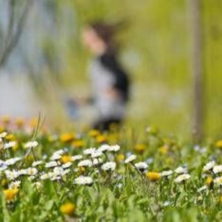 Stop alle piogge, arriva la primavera: sole e temperature in salita in tutta Italia