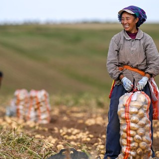 La Cina prevede un 2026 da record per il raccolto di cereali