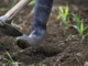 Cina, gli scarti agricoli diventano biochar ad alto valore Cina, gli scarti agricoli diventano biochar ad alto valore