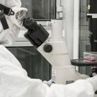 Donatore di sperma aveva mutazione genetica, 197 bambini a rischio cancro: il caso Donatore di sperma aveva mutazione genetica, 197 bambini a rischio cancro: il caso