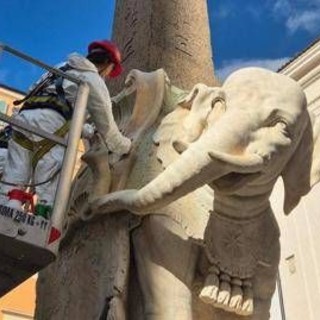 Roma, Elefante di Bernini restaurato dopo distacco della zanna Roma, Elefante di Bernini restaurato dopo distacco della zanna