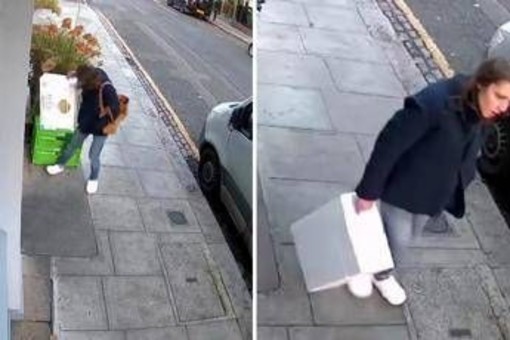 Londra, mistero della 'ladra di langoustine': rubati crostacei, manzo e orchidee rare