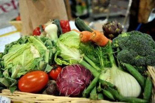 Microbioma alleato contro il mieloma: "Dieta ricca di fibre può frenarlo"