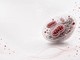 Ricerca, studio italiano svela il ruolo dei mitocondri nell'invecchiamento sano Ricerca, studio italiano svela il ruolo dei mitocondri nell'invecchiamento sano
