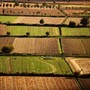 Banca nazionale delle Terre Agricole (Bta), al via nona edizione: in vendita 8.863 ettari per un valore di oltre 121 milioni di euro