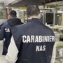 Controlli dei Nas nelle mense ospedaliere, irregolarità in 4 casi su 10 Controlli dei Nas nelle mense ospedaliere, irregolarità in 4 casi su 10