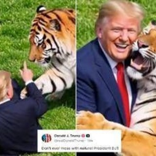Uomo sbranato da una tigre, Trump posta il video: "Non si scherza con la natura". Poi pubblica la parodia con IA Uomo sbranato da una tigre, Trump posta il video: "Non si scherza con la natura". Poi pubblica la parodia con IA