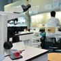 Ricerca, in Italia nel 2024 autorizzati 669 studi clinici: "Serve nuovo modello per ridefinire valore dati sanitari" Ricerca, in Italia nel 2024 autorizzati 669 studi clinici: "Serve nuovo modello per ridefinire valore dati sanitari"