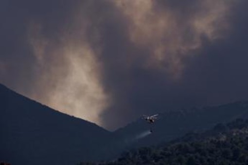 Incendi in Francia e Spagna, corsa contro il tempo per domare fiamme prima di nuova ondata di caldo Incendi in Francia e Spagna, corsa contro il tempo per domare fiamme prima di nuova ondata di caldo