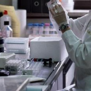 Cancro pancreas, dispositivo medico indossabile di Novocure ottiene marchio Ce Cancro pancreas, dispositivo medico indossabile di Novocure ottiene marchio Ce