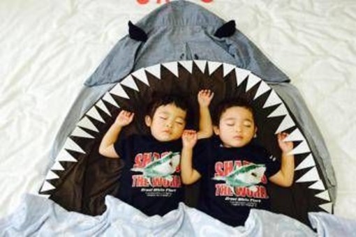Come 'funzionano' i sogni? Ecco cosa succede al corpo (e alla mente) durante il sonno Rem Come 'funzionano' i sogni? Ecco cosa succede al corpo (e alla mente) durante il sonno Rem