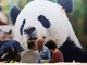 Cina, in aumento dell’11,3% i ricavi dell’industria pubblicitaria Cina, in aumento dell’11,3% i ricavi dell’industria pubblicitaria