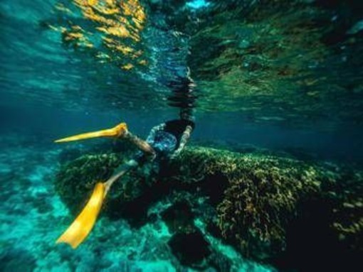 Italiani morti alle Maldive, l'ipotesi: "Uno in difficoltà, gli altri in soccorso" Italiani morti alle Maldive, l'ipotesi: "Uno in difficoltà, gli altri in soccorso"