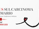 Mortalità cancro seno -6% in 5 anni, a Udine prima Consensus italiana Mortalità cancro seno -6% in 5 anni, a Udine prima Consensus italiana