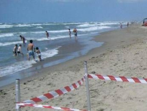 Moria di pesci a Torvajanica e Ardea, controlli sul litorale Moria di pesci a Torvajanica e Ardea, controlli sul litorale