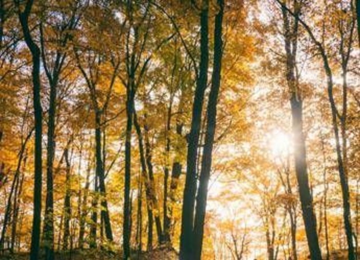 Il maltempo molla la presa, torna l'anticiclone e salgono le temperature: la tendenza dei prossimi giorni
