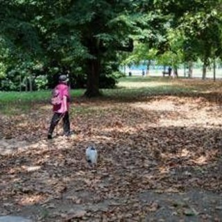 Meteo, torna il sole con l'Anticiclone delle Azzorre ma dura poco: domenica peggiora, le previsioni Meteo, torna il sole con l'Anticiclone delle Azzorre ma dura poco: domenica peggiora, le previsioni