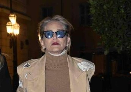 Sharone Stone, la diagnosi e la rottura col marito: "Non voleva l'operazione al seno" Sharone Stone, la diagnosi e la rottura col marito: "Non voleva l'operazione al seno"
