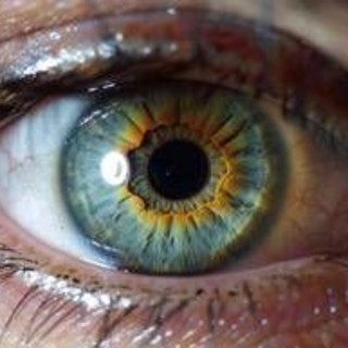 Farmaci, aflibercept 8 mg: nuovi dati confermano efficacia e sostenibilità in maculopatie Farmaci, aflibercept 8 mg: nuovi dati confermano efficacia e sostenibilità in maculopatie