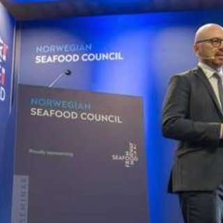 Food, il mercato ittico retail italiano cresce ancora: oltre 4 miliardi di euro nel 2026