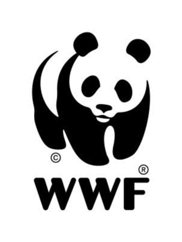 Cairo, il WWF e Medicina Democratica chiedono la 'VIA' per il progetto Ecocem Cairo, il WWF e Medicina Democratica chiedono la 'VIA' per il progetto Ecocem