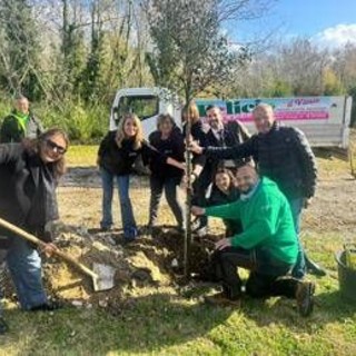 Sostenibilità, 'PiantiAmo il Futuro', messi a dimora 600 alberi in tre aree Sostenibilità, 'PiantiAmo il Futuro', messi a dimora 600 alberi in tre aree