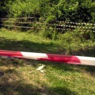 Venezia, cadavere in un campo con colpo d'arma da fuoco alla testa Venezia, cadavere in un campo con colpo d'arma da fuoco alla testa