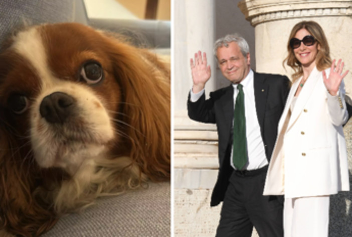 Fagnani e Mentana, addio alla cagnolina Bice: "Il dolore è profondo" Fagnani e Mentana, addio alla cagnolina Bice: "Il dolore è profondo"