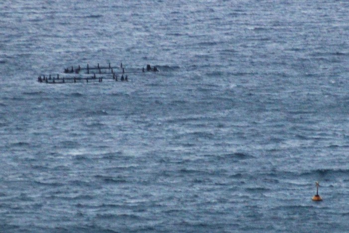 Maricoltura in stato di degrado e abbandono davanti al litorale alassino, decade la concessione e si ordina la rimozione della struttura