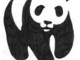 Mancano pochi giorni &quot;all'Ora della Terra&quot;, l'appello del WWF ai sindaci savonesi: &quot;Aderite a questo evento internazionale&quot;