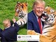 Uomo sbranato da una tigre, Trump posta il video: "Non si scherza con la natura". Poi pubblica la parodia con IA Uomo sbranato da una tigre, Trump posta il video: "Non si scherza con la natura". Poi pubblica la parodia con IA