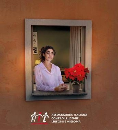 Lotta alle leucemie, tornano le stelle di Natale Ail per la ricerca