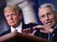 Trump: "Favorevole a eventuale incriminazione di Fauci"