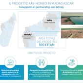 Nasce Neya, società benefit di Mundys focalizzata sulla rimozione del carbonio Nasce Neya, società benefit di Mundys focalizzata sulla rimozione del carbonio